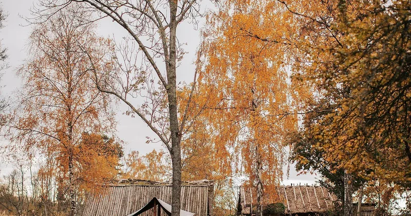Båttur till Birka Vikingastad